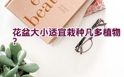 花盆大小适宜栽种几多植物？插图
