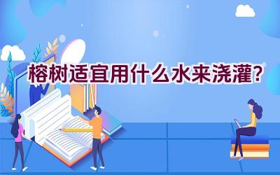 榕树适宜用什么水来浇灌？插图