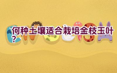 何种土壤适合栽培金枝玉叶？插图