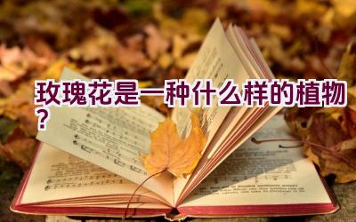 玫瑰花是一种什么样的植物？插图