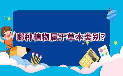 哪种植物属于草本类别？插图