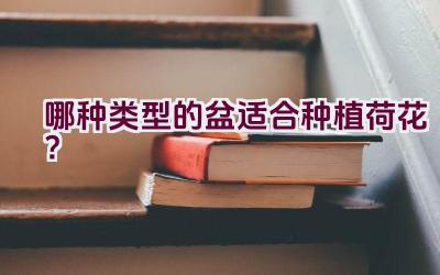 哪种类型的盆适合种植荷花？插图