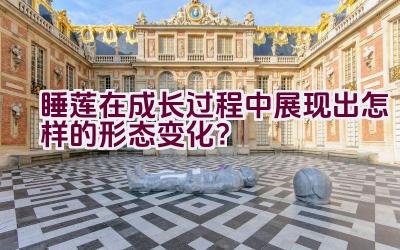 睡莲在成长过程中展现出怎样的形态变化？插图