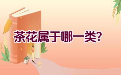 茶花属于哪一类？插图