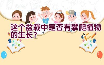 这个盆栽中是否有攀爬植物的生长？插图