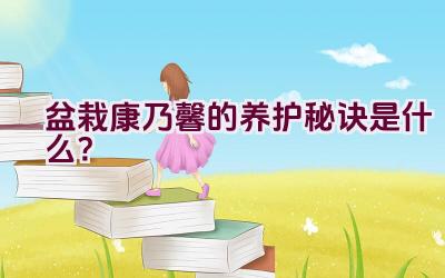 盆栽康乃馨的养护秘诀是什么？插图