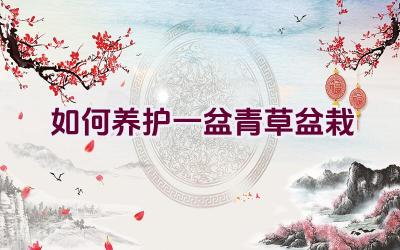 如何养护一盆青草盆栽插图