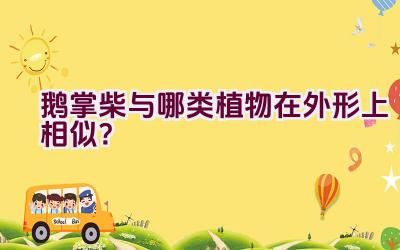 鹅掌柴与哪类植物在外形上相似？