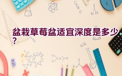 盆栽草莓盆适宜深度是多少？插图