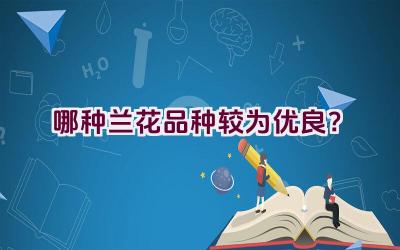 哪种兰花品种较为优良？插图
