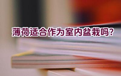 薄荷适合作为室内盆栽吗？插图