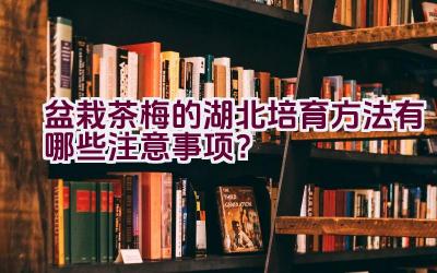 盆栽茶梅的湖北培育方法有哪些注意事项？插图