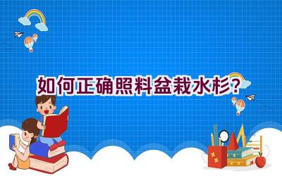 如何正确照料盆栽水杉？插图
