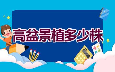高盆景植多少株插图