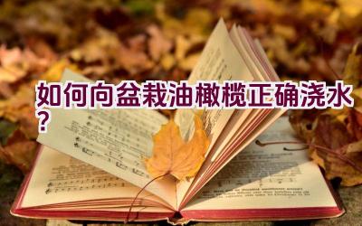 如何向盆栽油橄榄正确浇水？插图