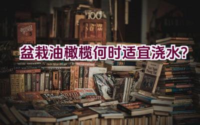 盆栽油橄榄何时适宜浇水？插图