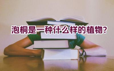 泡桐是一种什么样的植物？插图
