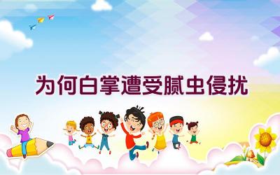 为何白掌遭受腻虫侵扰插图
