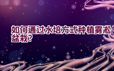 如何通过水培方式种植雾凇盆栽？插图